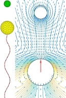 Approach towards target particle of (left) flagellar swimmer and (right) squirmer modeling ciliary swimmer.